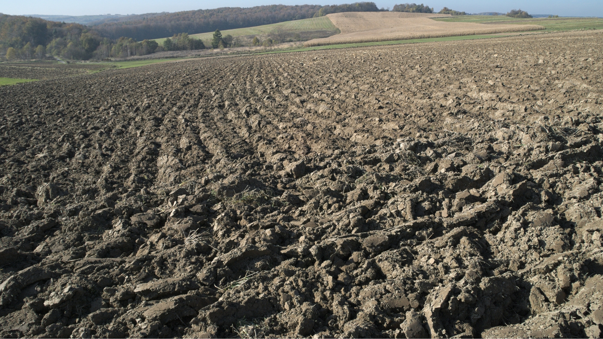 Enriching soils with nanocompounds can enhance microbial activity, say scientists